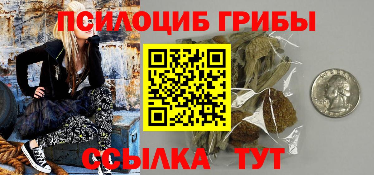 Галлюциногенные грибы ЛСД Гусиноозёрск