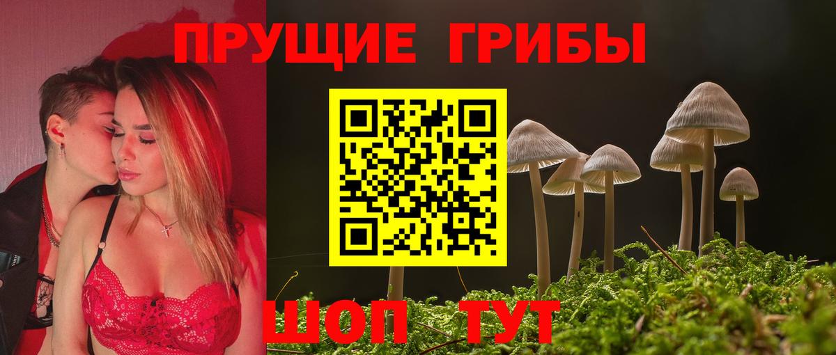 Галлюциногенные грибы прущие грибы  Псилоцибиновые грибы мицелий  Гусиноозёрск  Вход с VPN 